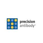 Precision Antibody