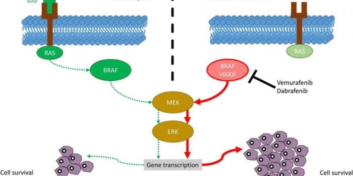 The BRAF Kinase Inhibitors Market is driven by rising prevelance of cancer