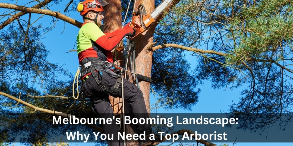 Melbourne's Booming Landscape: Why You Need a Top Arborist