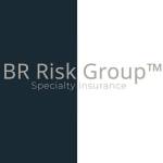 BR Risk Group