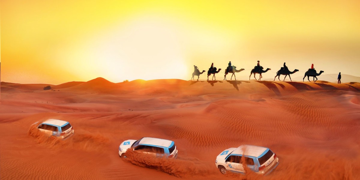 Top Best places to visit in Dubai for safari