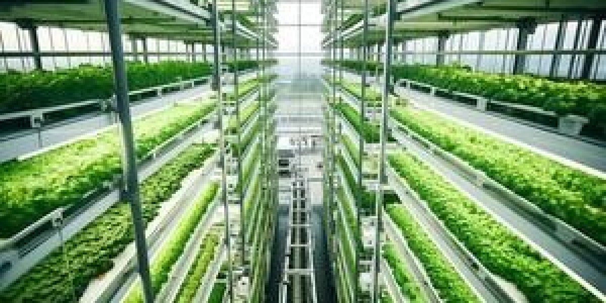 Vertical Farming Market Will Hit Dynamic Growth To Reach USD  86.7 Billion by 2035