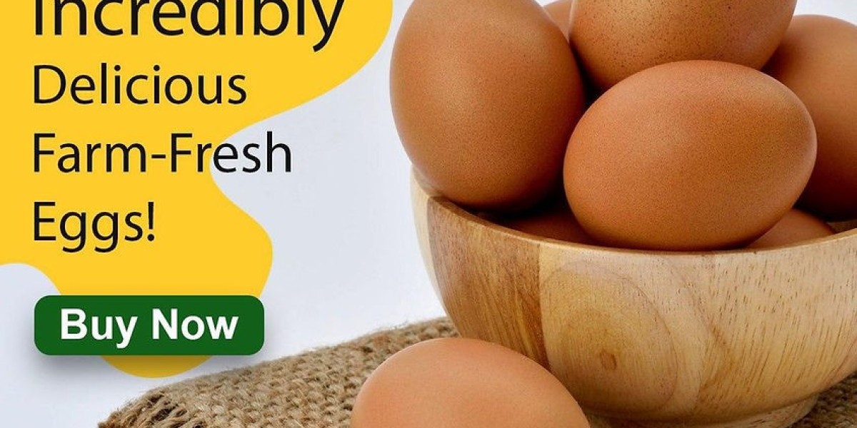 Egg Wholesale Price in Namakkal | Namakkal Egg Suppliers