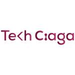 Techciaga Web Development Agency