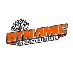 Dynamic Tree Solutions