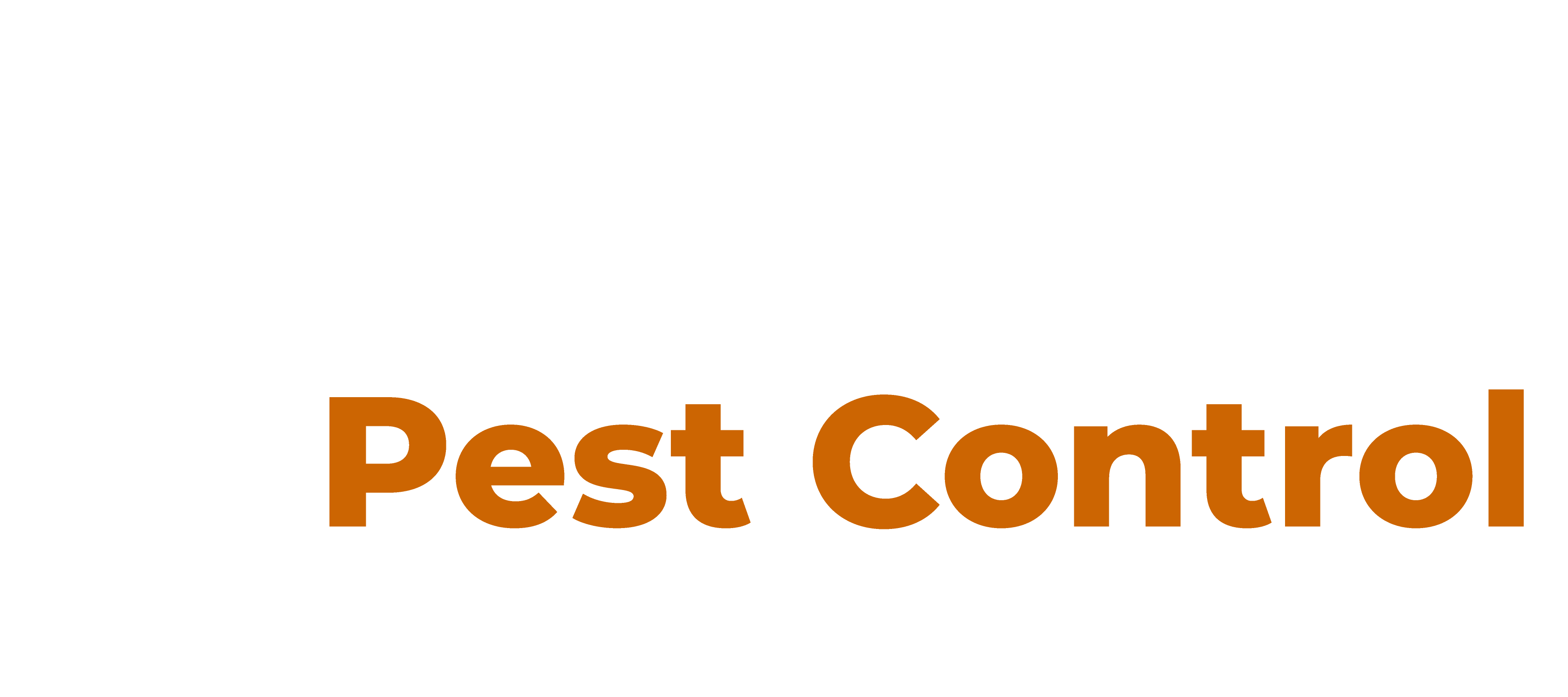 Termite Control Services | Termite Inspection | Beacon Pest Control