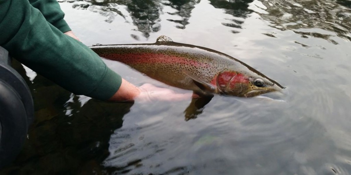 Discover Unforgettable Fishing Experiences with Fishing with Ferris Guide Service Your Top Eugene Fishing Guide