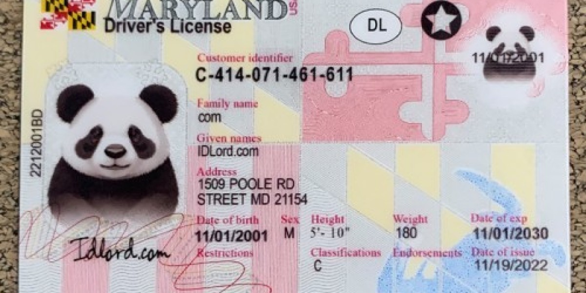 The Art of Crafting a Maryland Fake ID A Comprehensive Guide