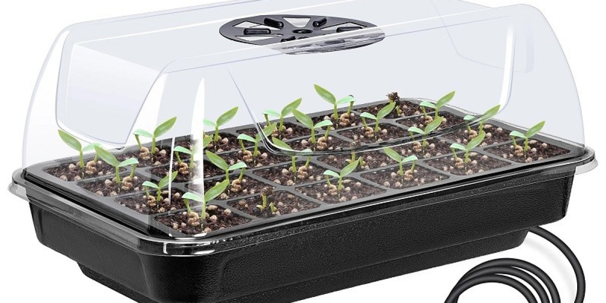 Seed Germination Trays Market Size to Hit USD 11.34 Billion by 2031, Growing at a 5.4% CAGR