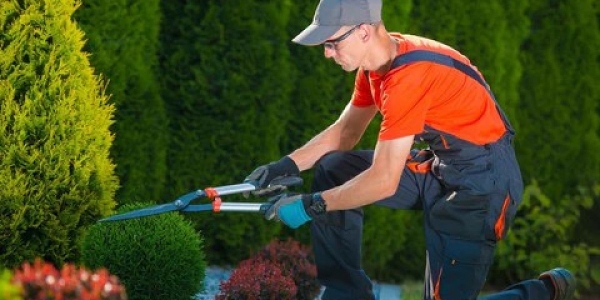 The Importance of Hiring Professional Garden Maintenance Service in Dubai, UAE