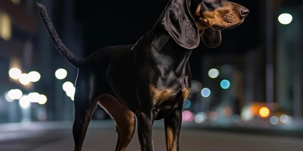 Why European Dobermans Make Wonderful Family Pets