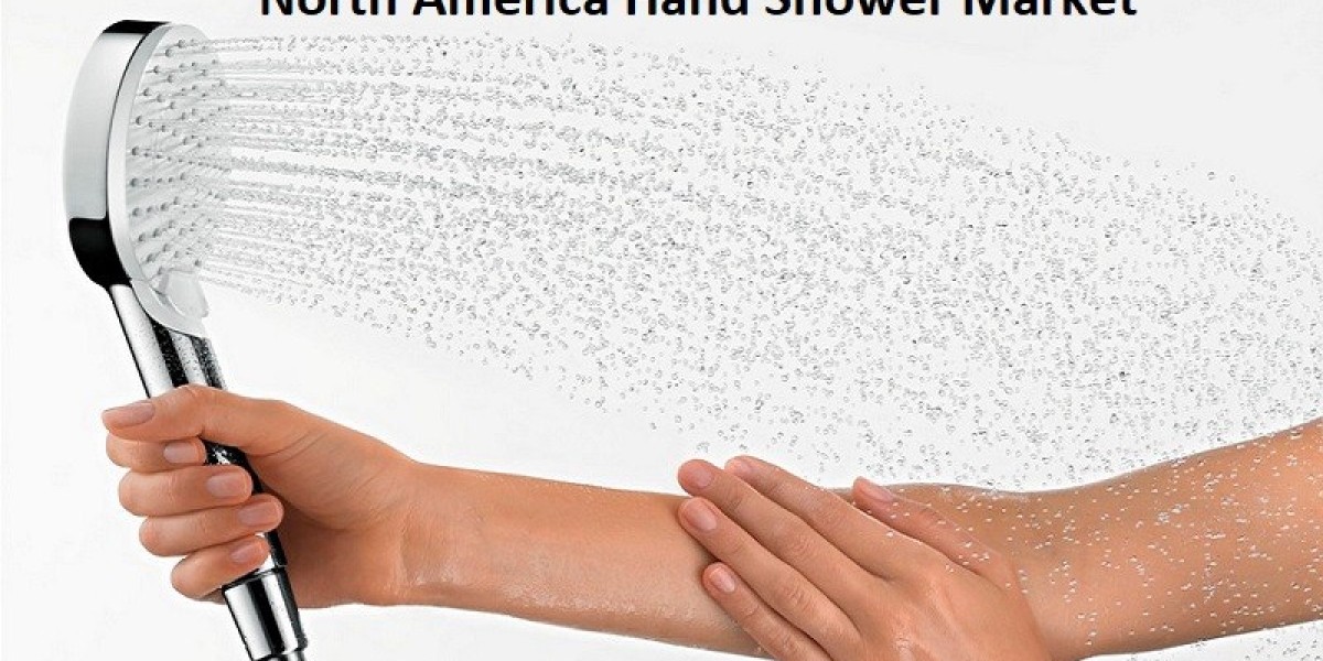 North America Hand Shower Market Growth Driven by 8.17% CAGR Through 2031