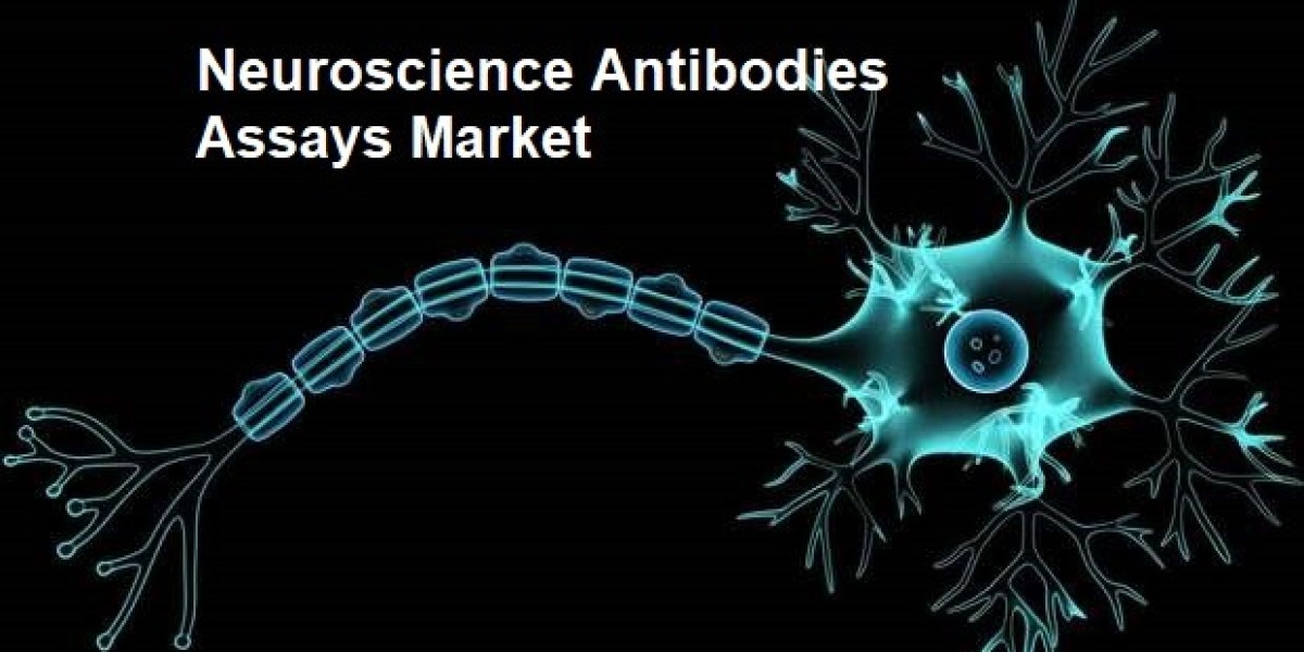 Neuroscience Antibodies Assays Market is anticipated to grow to USD 8.04 billion by 2031 with a 9.70% CAGR