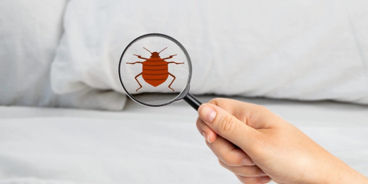 Effective Bed Bug Removal Service in Maricopa, AZ with LMS Pest Solutions LLC