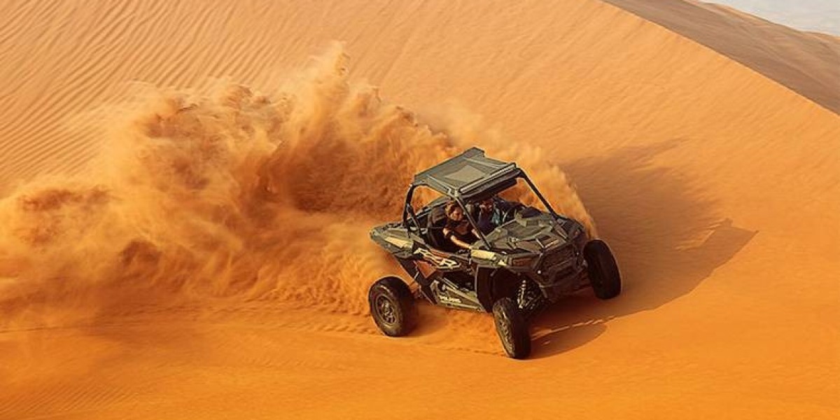 From Dune Bashing to Camel Rides: Big Red Adventure Tours Highlights