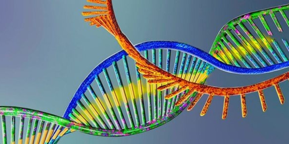 The Global Spatial Genomics Transcriptomics Market is Estimated to Witness High Growth Owing to Advancements in Spatial 