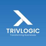 Trivlogic Seo