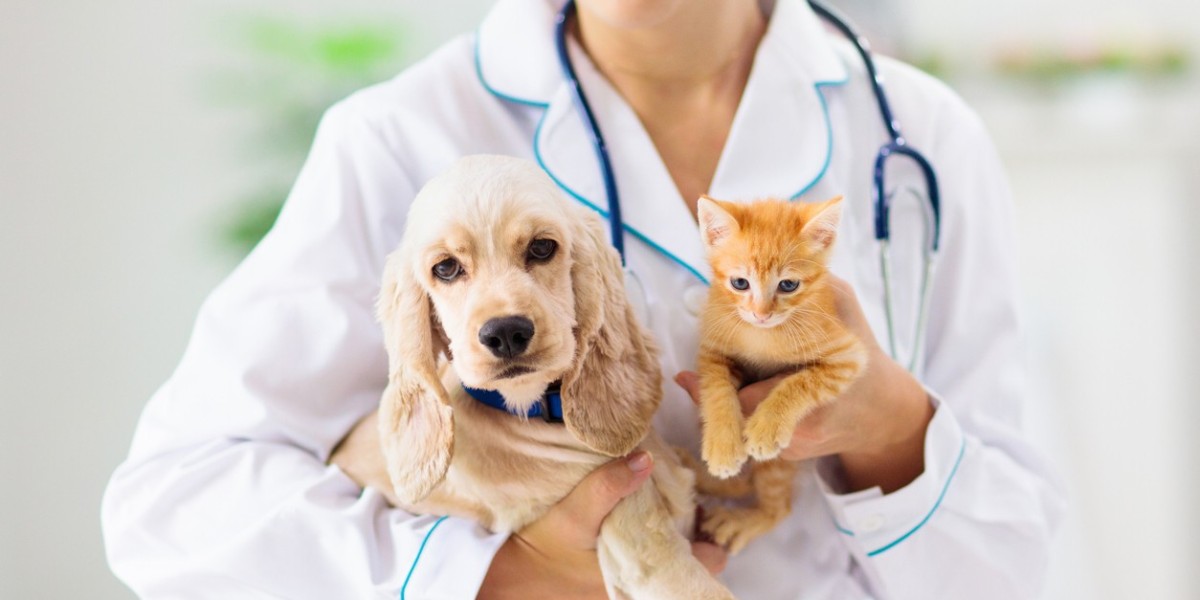 Pet Insurance Market Size, Share, Challenges and Growth Analysis Report 2034