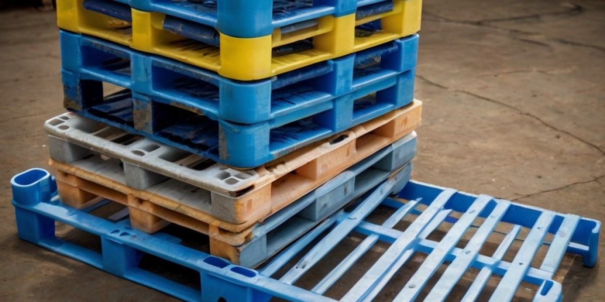 Plastic Pallets Market Forecast 2024: Growth, Sustainability, and Innovations