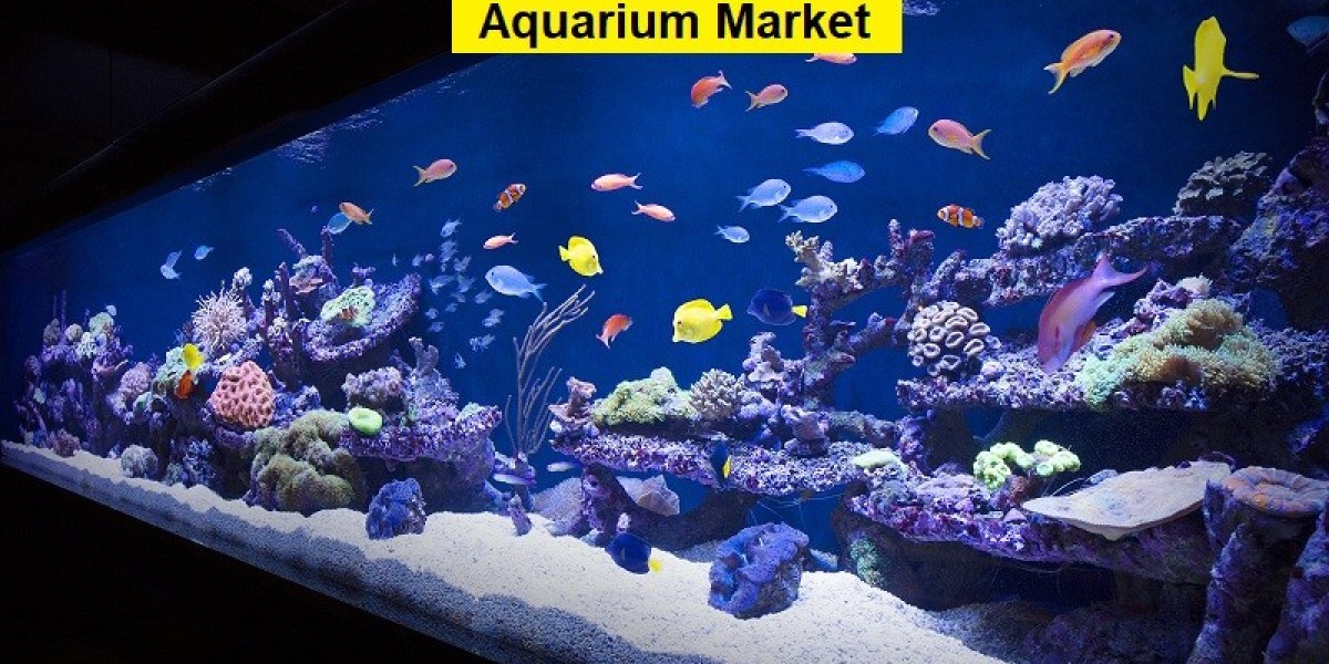 Aquarium Market Poised for 7.57% CAGR, Expected to Reach USD 11,515.8 Million by 2031