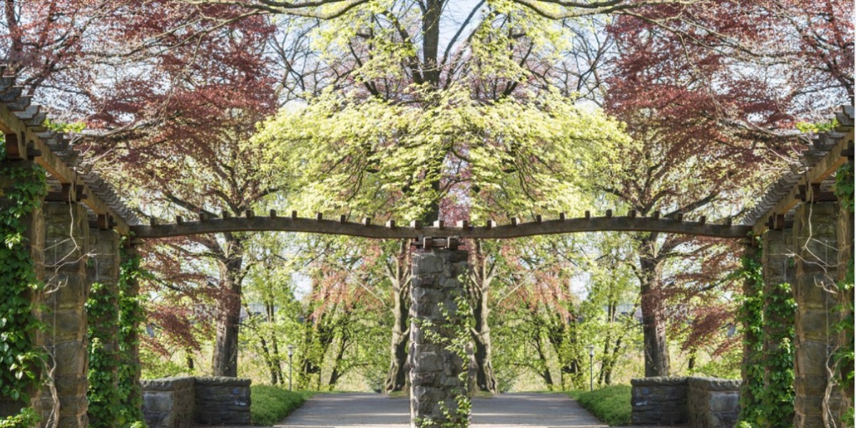 Entdecken Sie die Vorteile einer Pergola mit Lamellendach