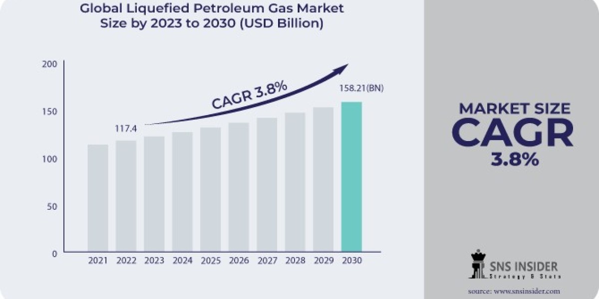 Liquefied Petroleum Gas Market Challenges and Strategic Solutions