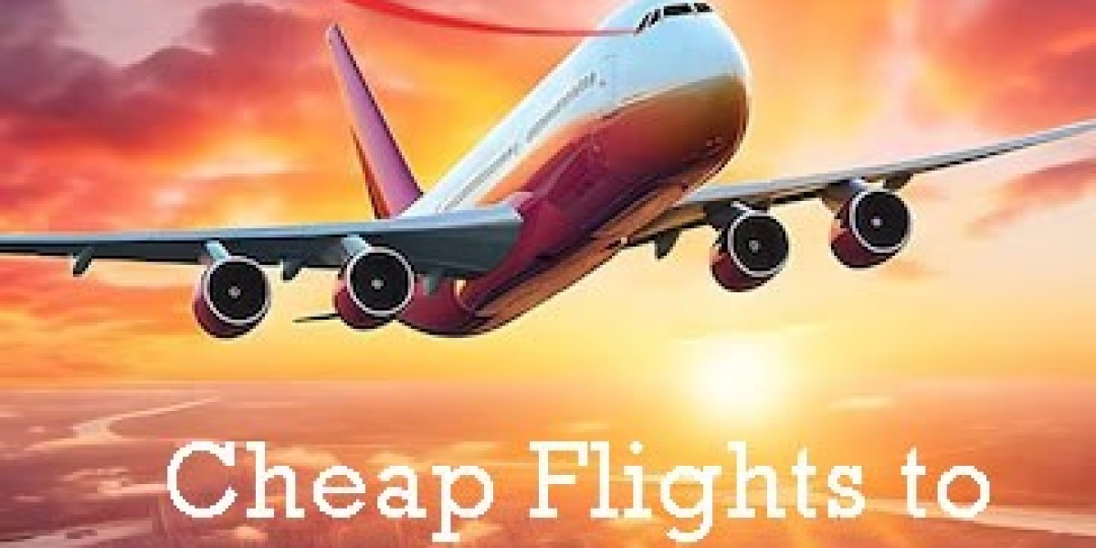 Cheap Flights to New Delhi with 123GoAir