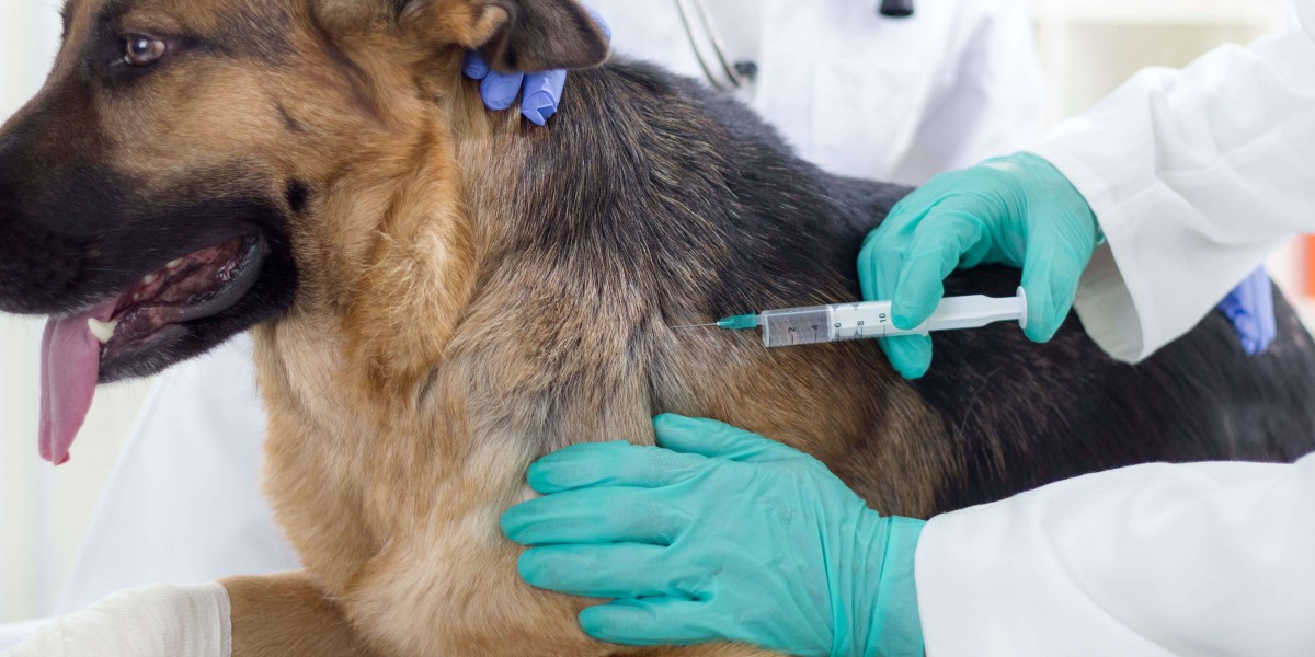 Canine Influenza Vaccine Industry: Emerging as Critical Preventive Care for Dogs Industry