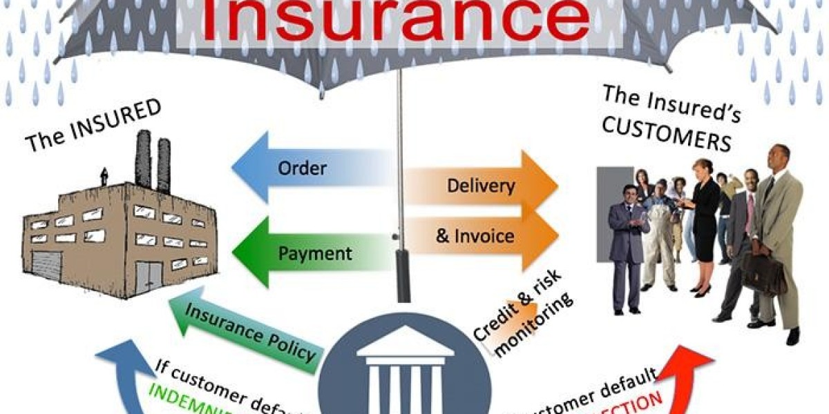 Trade Credit Insurance Market Overview, Applications and Industry Forecast Report 2030