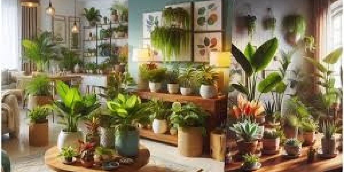 Buy Plants Online in Pakistan: A Green Revolution in Your Home Garden