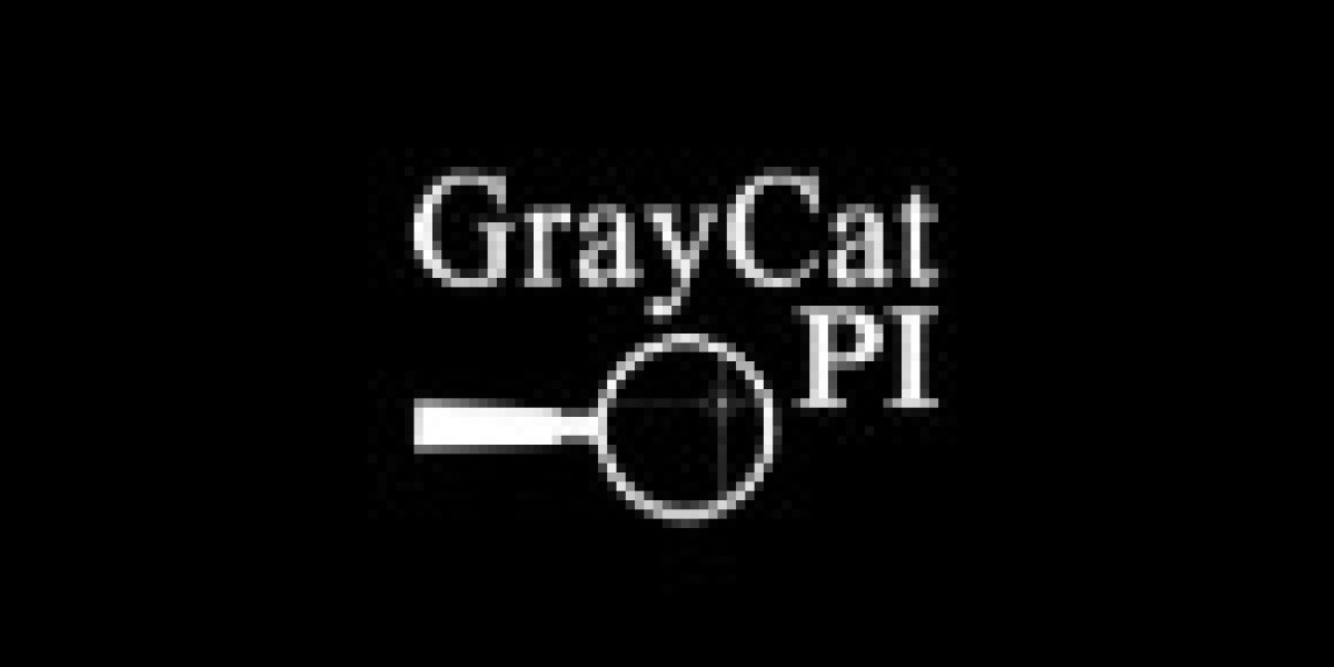 Private Investigator Services in Mexico: What to Know | Graycatpi