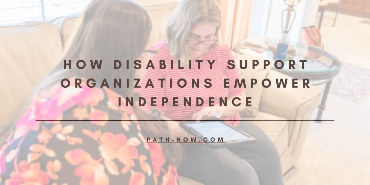 How Disability Support Organizations Empower Independence