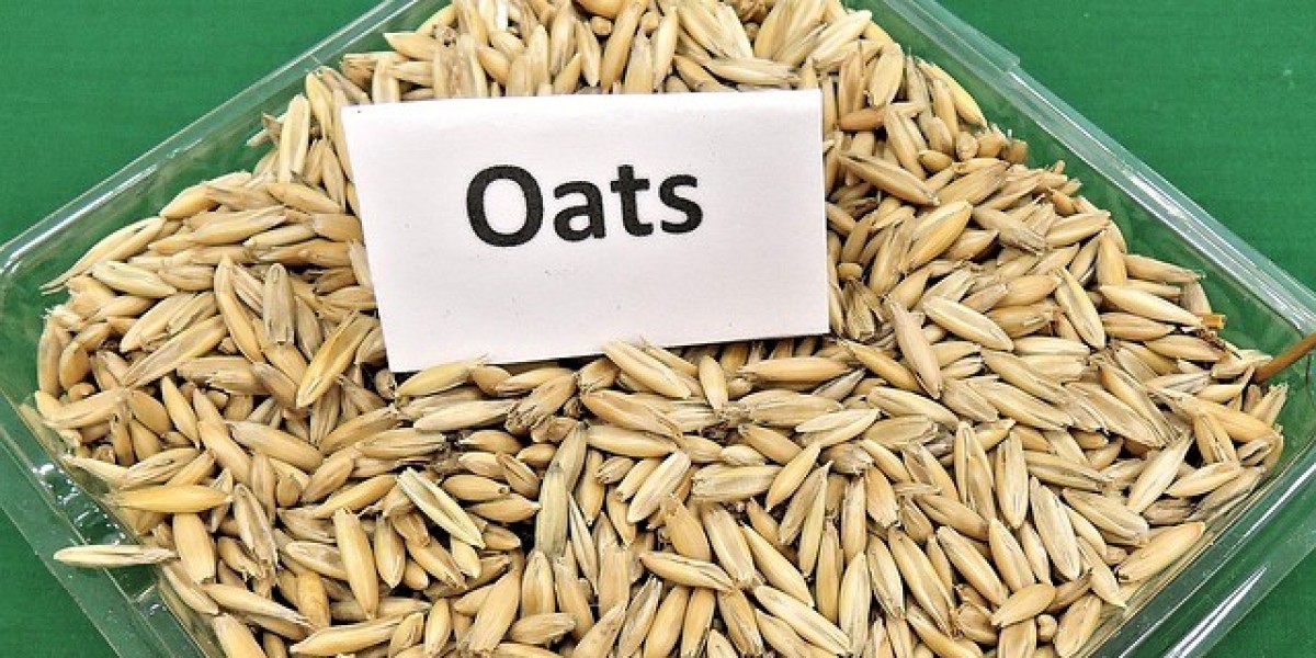 Forecast for the Organic Oats Market in 2024