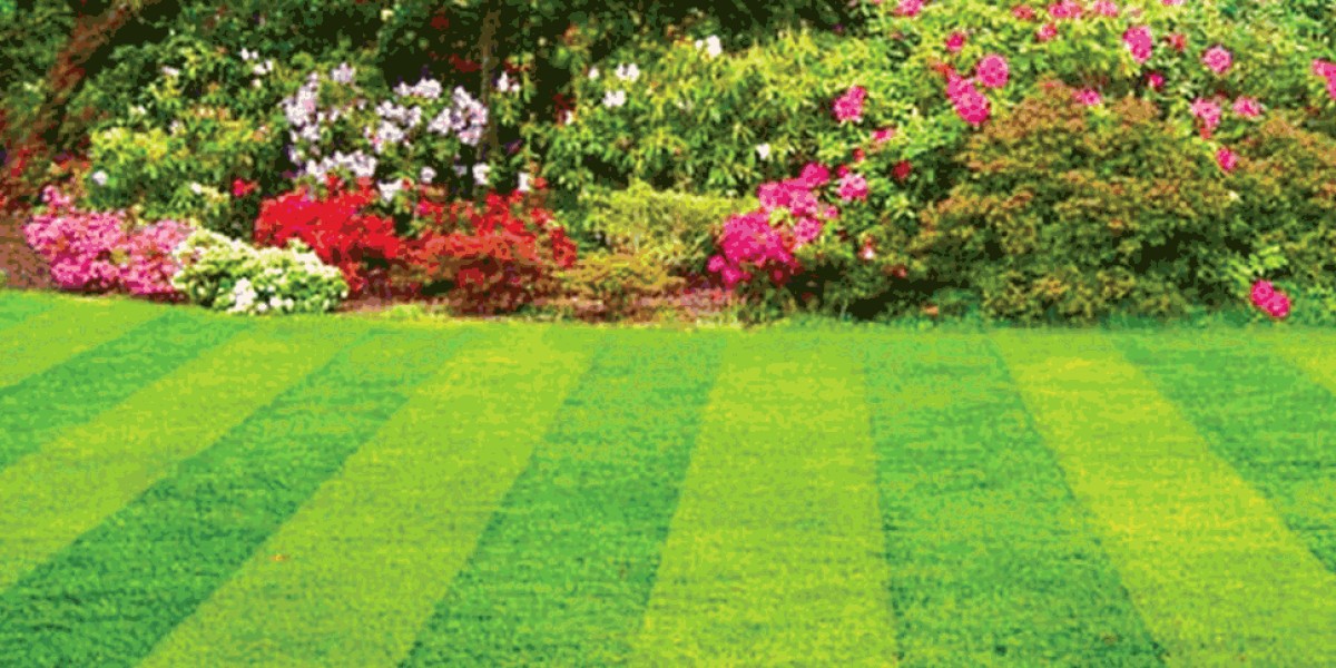 Brentwood Lawn Care Services: Transforming Your Lawn Into a Green Haven