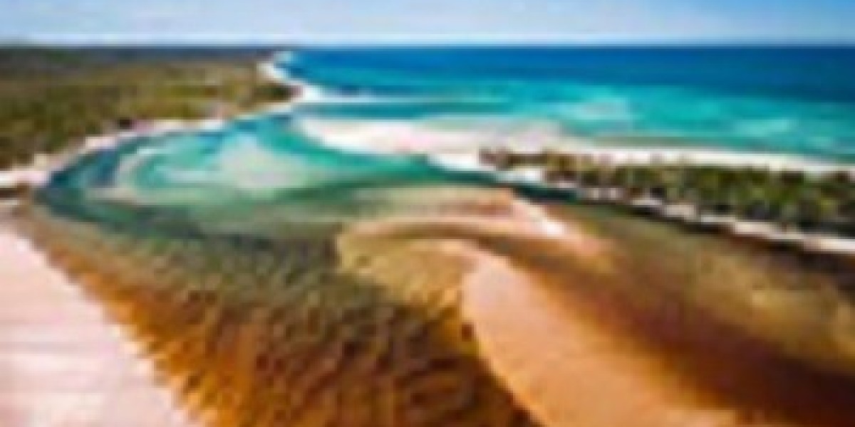 Unleash the Adventure: Discover Fraser Island with K’gari Fraser Island Tours