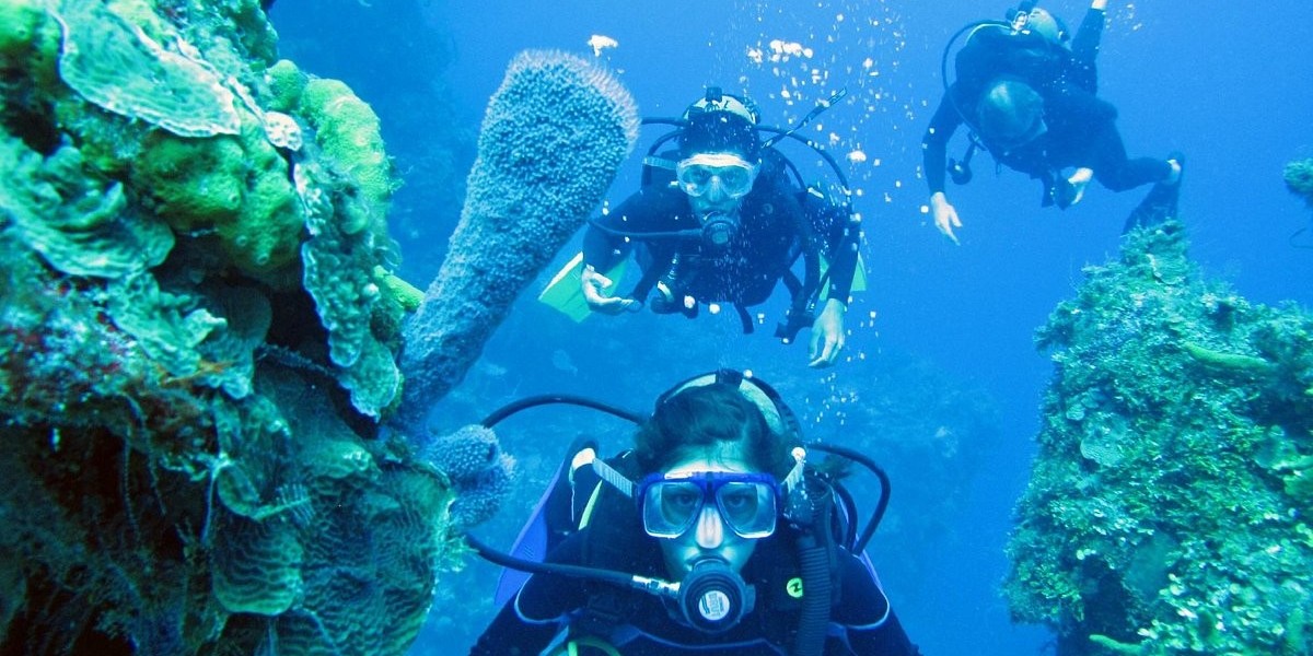 Dive into Paradise: Exploring Cancun's Underwater World with Dive Shops