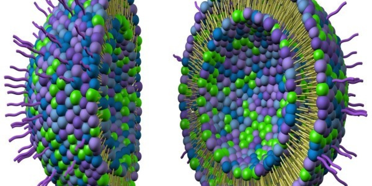 Liposome Drug Delivery Market is revolutionizing treatment delivery trends through targeted drug protection