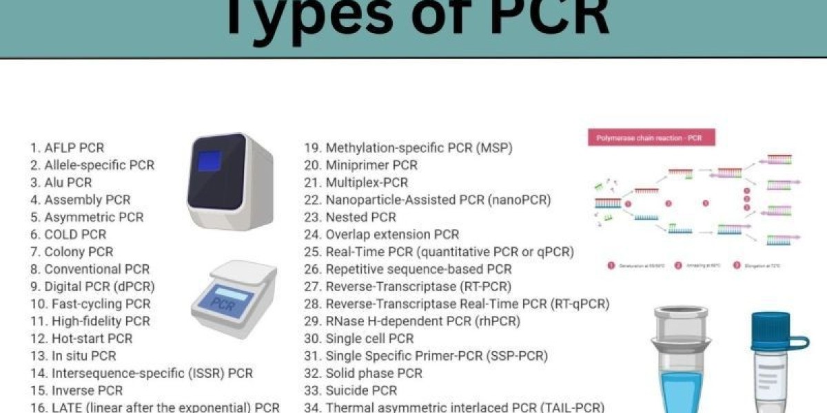 Global PCR Market Forecast to Benefit from Expanding R&D Efforts