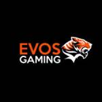 evos gaming