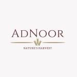 Adnoor Inc