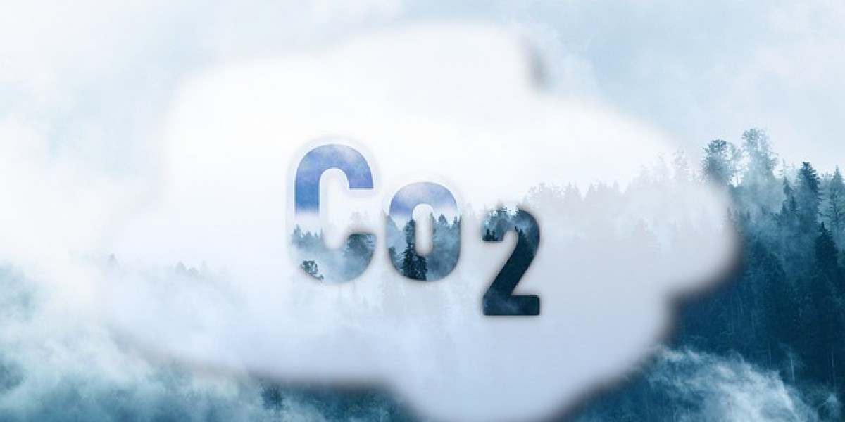 Carbon Dioxide: Redefining Sustainability in 2024