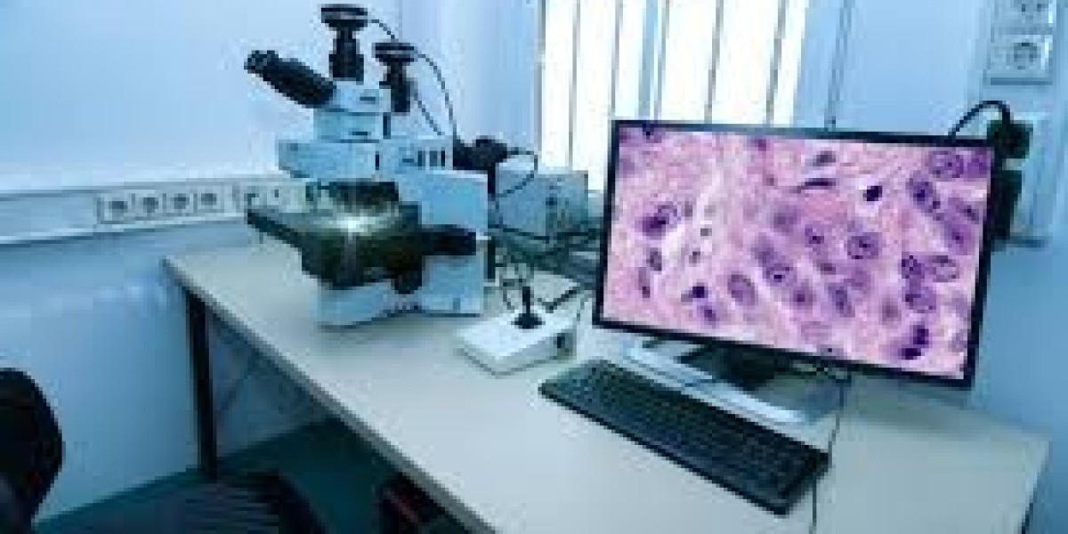 Digital Pathology Market Global outlook 2024 to 2031