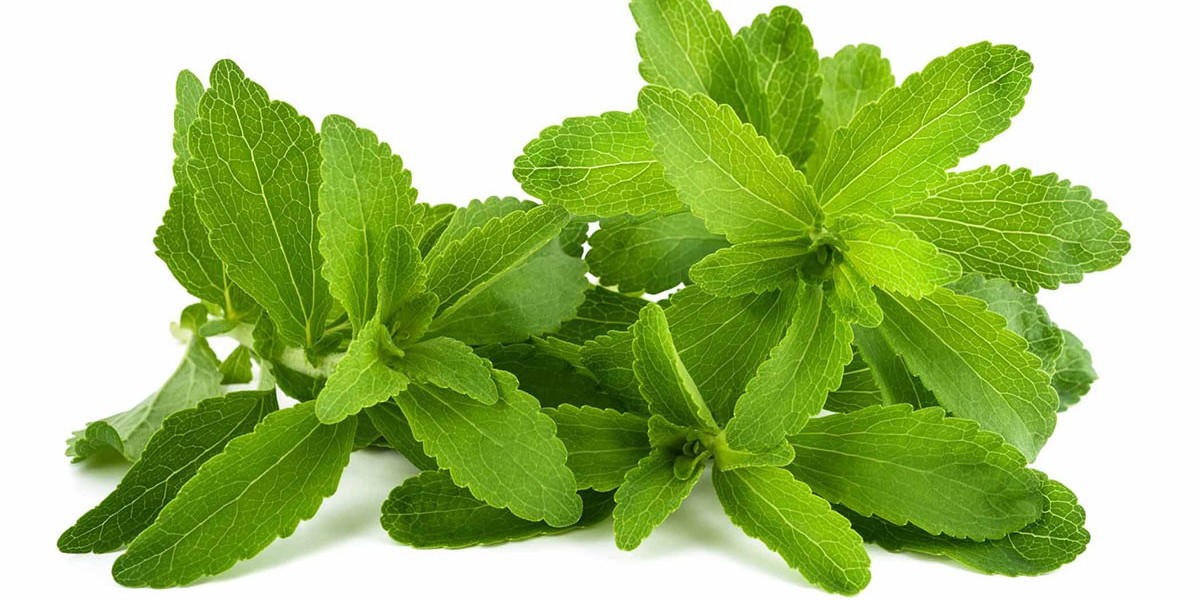 Stevia: The Natural Sweetener for a Healthier Lifestyle