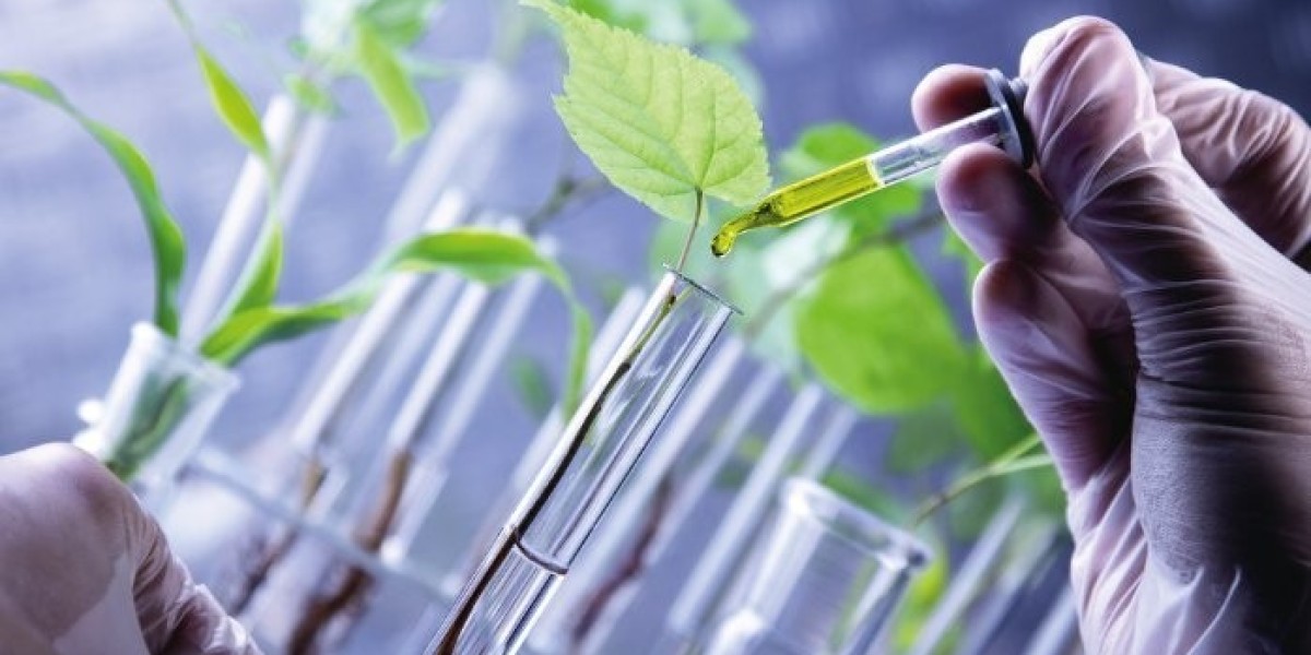 The Green Revolution: Exploring the Renewable Chemicals Market