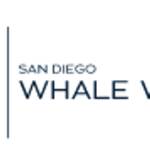 sdwhale watch