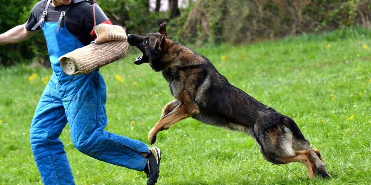 Why Dog Bite Prevention is Crucial for Employees