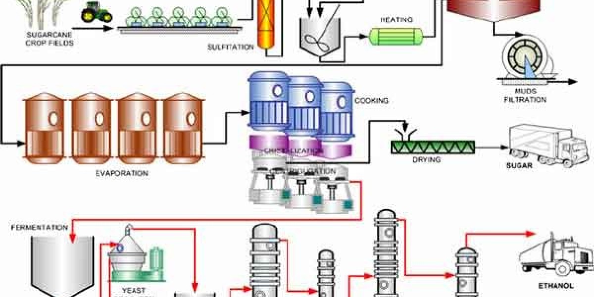 Renewable Ethanol Market Growth and Industry Forecast Report 2033