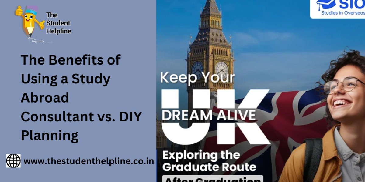 The Benefits of Using a Study Abroad Consultant vs. DIY Planning