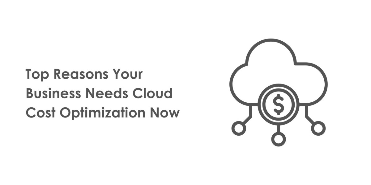 Top Reasons Your Business Needs Cloud Cost Optimization Now