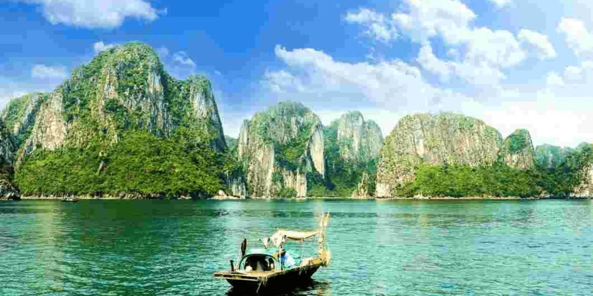 Immerse Yourself in Vietnam: A Cultural Odyssey